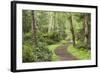 Trail Through Woods, Stuart Island, San Juan Islands, Washington, USA-Jaynes Gallery-Framed Photographic Print