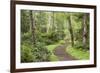 Trail Through Woods, Stuart Island, San Juan Islands, Washington, USA-Jaynes Gallery-Framed Photographic Print