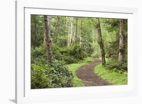 Trail Through Woods, Stuart Island, San Juan Islands, Washington, USA-Jaynes Gallery-Framed Photographic Print