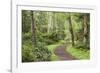 Trail Through Woods, Stuart Island, San Juan Islands, Washington, USA-Jaynes Gallery-Framed Photographic Print