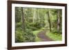 Trail Through Woods, Stuart Island, San Juan Islands, Washington, USA-Jaynes Gallery-Framed Photographic Print