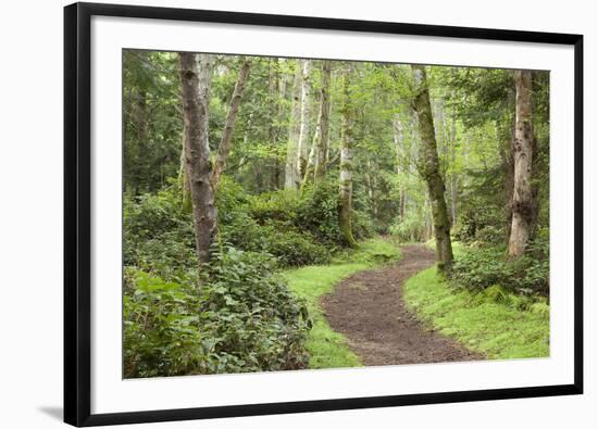 Trail Through Woods, Stuart Island, San Juan Islands, Washington, USA-Jaynes Gallery-Framed Photographic Print