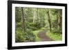 Trail Through Woods, Stuart Island, San Juan Islands, Washington, USA-Jaynes Gallery-Framed Photographic Print