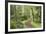 Trail Through Woods, Stuart Island, San Juan Islands, Washington, USA-Jaynes Gallery-Framed Photographic Print