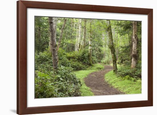 Trail Through Woods, Stuart Island, San Juan Islands, Washington, USA-Jaynes Gallery-Framed Photographic Print