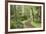 Trail Through Woods, Stuart Island, San Juan Islands, Washington, USA-Jaynes Gallery-Framed Photographic Print