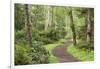 Trail Through Woods, Stuart Island, San Juan Islands, Washington, USA-Jaynes Gallery-Framed Photographic Print