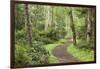 Trail Through Woods, Stuart Island, San Juan Islands, Washington, USA-Jaynes Gallery-Framed Photographic Print