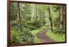 Trail Through Woods, Stuart Island, San Juan Islands, Washington, USA-Jaynes Gallery-Framed Photographic Print