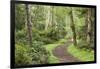 Trail Through Woods, Stuart Island, San Juan Islands, Washington, USA-Jaynes Gallery-Framed Photographic Print