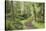 Trail Through Woods, Stuart Island, San Juan Islands, Washington, USA-Jaynes Gallery-Stretched Canvas