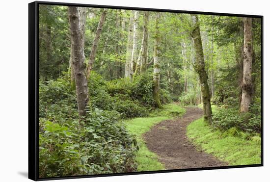 Trail Through Woods, Stuart Island, San Juan Islands, Washington, USA-Jaynes Gallery-Framed Stretched Canvas