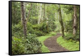 Trail Through Woods, Stuart Island, San Juan Islands, Washington, USA-Jaynes Gallery-Framed Stretched Canvas