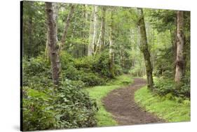 Trail Through Woods, Stuart Island, San Juan Islands, Washington, USA-Jaynes Gallery-Stretched Canvas