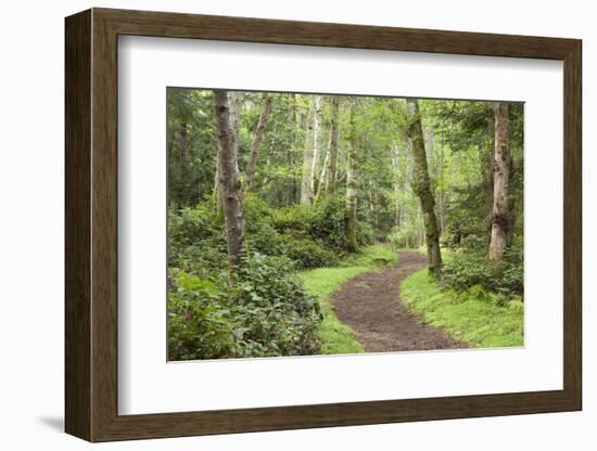 Trail Through Woods, Stuart Island, San Juan Islands, Washington, USA-Jaynes Gallery-Framed Photographic Print