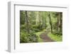 Trail Through Woods, Stuart Island, San Juan Islands, Washington, USA-Jaynes Gallery-Framed Photographic Print