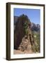 Trail to Angels Landing, Zion National Park, Utah, United States of America, North America-Gary Cook-Framed Photographic Print