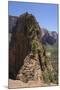 Trail to Angels Landing, Zion National Park, Utah, United States of America, North America-Gary Cook-Mounted Photographic Print