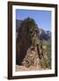 Trail to Angels Landing, Zion National Park, Utah, United States of America, North America-Gary Cook-Framed Photographic Print