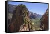 Trail to Angels Landing, Zion National Park, Utah, United States of America, North America-Gary-Framed Stretched Canvas