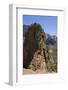 Trail to Angels Landing, Zion National Park, Utah, United States of America, North America-Gary Cook-Framed Photographic Print