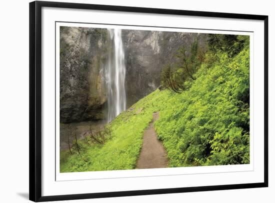 Trail To Comet Falls-Donald Paulson-Framed Giclee Print