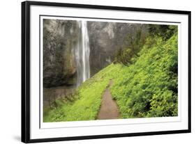 Trail To Comet Falls-Donald Paulson-Framed Giclee Print