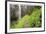 Trail To Comet Falls-Donald Paulson-Framed Giclee Print