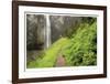 Trail To Comet Falls-Donald Paulson-Framed Giclee Print