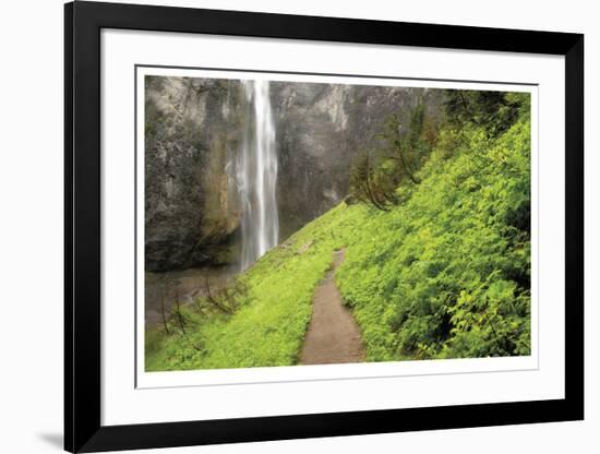 Trail To Comet Falls-Donald Paulson-Framed Giclee Print