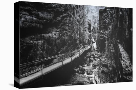 Trail to Flume Gorge, White Mountain New Hampshire-Vincent James-Stretched Canvas