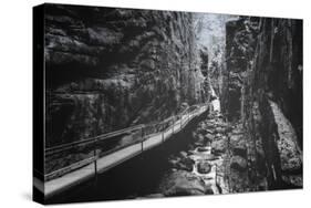 Trail to Flume Gorge, White Mountain New Hampshire-Vincent James-Stretched Canvas