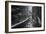 Trail to Flume Gorge, White Mountain New Hampshire-Vincent James-Framed Photographic Print