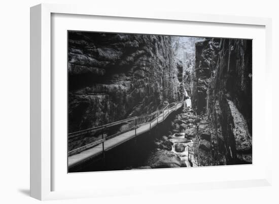 Trail to Flume Gorge, White Mountain New Hampshire-Vincent James-Framed Photographic Print