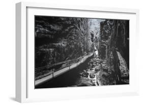 Trail to Flume Gorge, White Mountain New Hampshire-Vincent James-Framed Photographic Print