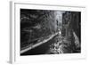 Trail to Flume Gorge, White Mountain New Hampshire-Vincent James-Framed Photographic Print