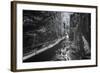 Trail to Flume Gorge, White Mountain New Hampshire-Vincent James-Framed Photographic Print