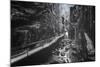 Trail to Flume Gorge, White Mountain New Hampshire-Vincent James-Mounted Photographic Print
