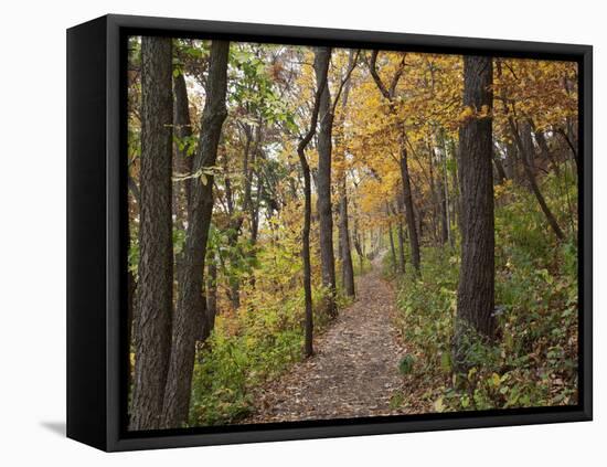 Trail to Great Bear and Little Bear Mound, Effigy Mounds National Monument, Iowa, USA-Jamie & Judy Wild-Framed Stretched Canvas