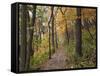 Trail to Great Bear and Little Bear Mound, Effigy Mounds National Monument, Iowa, USA-Jamie & Judy Wild-Framed Stretched Canvas