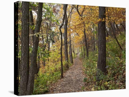 Trail to Great Bear and Little Bear Mound, Effigy Mounds National Monument, Iowa, USA-Jamie & Judy Wild-Stretched Canvas