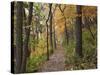 Trail to Great Bear and Little Bear Mound, Effigy Mounds National Monument, Iowa, USA-Jamie & Judy Wild-Stretched Canvas