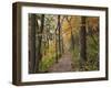 Trail to Great Bear and Little Bear Mound, Effigy Mounds National Monument, Iowa, USA-Jamie & Judy Wild-Framed Premium Photographic Print