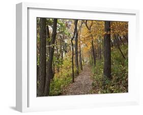 Trail to Great Bear and Little Bear Mound, Effigy Mounds National Monument, Iowa, USA-Jamie & Judy Wild-Framed Premium Photographic Print