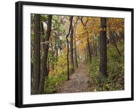 Trail to Great Bear and Little Bear Mound, Effigy Mounds National Monument, Iowa, USA-Jamie & Judy Wild-Framed Photographic Print