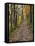 Trail to Great Bear and Little Bear Mound, Effigy Mounds National Monument, Iowa, USA-Jamie & Judy Wild-Framed Stretched Canvas