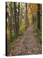 Trail to Great Bear and Little Bear Mound, Effigy Mounds National Monument, Iowa, USA-Jamie & Judy Wild-Stretched Canvas