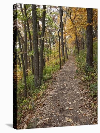 Trail to Great Bear and Little Bear Mound, Effigy Mounds National Monument, Iowa, USA-Jamie & Judy Wild-Stretched Canvas