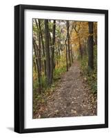 Trail to Great Bear and Little Bear Mound, Effigy Mounds National Monument, Iowa, USA-Jamie & Judy Wild-Framed Photographic Print