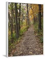 Trail to Great Bear and Little Bear Mound, Effigy Mounds National Monument, Iowa, USA-Jamie & Judy Wild-Framed Photographic Print